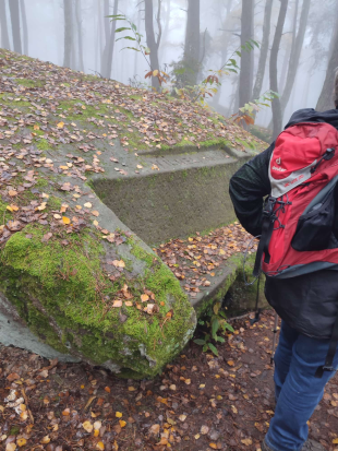 Leistadt, 
Sieben-Waldwunder-Weg,
10. November 2024 